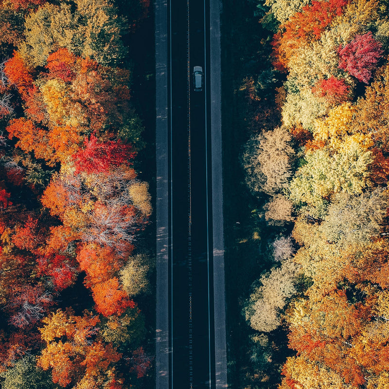 Road Trip Series