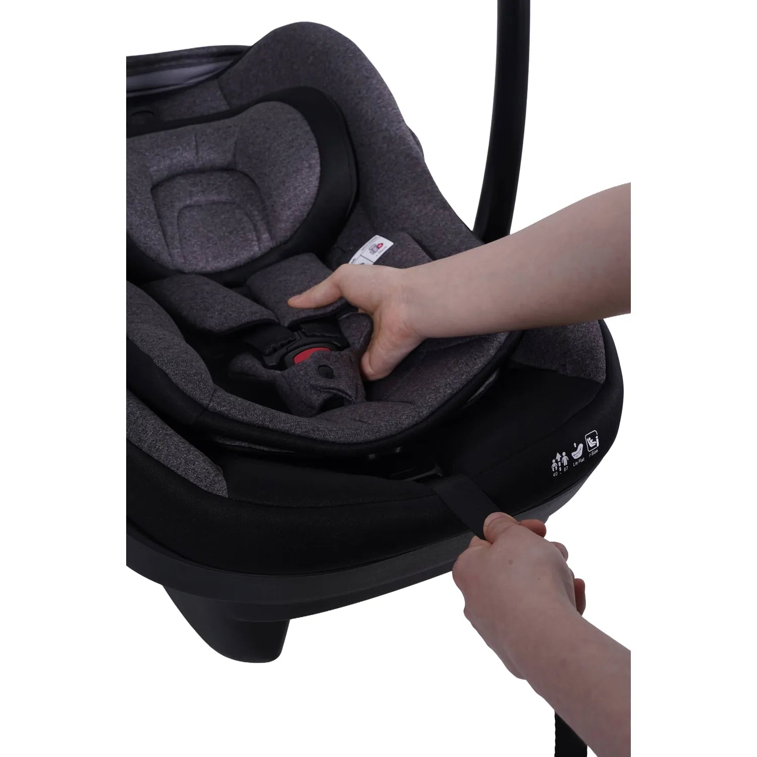 Jovikids Aria Baby Carrier Black i-Size 3-Point Seat Belt 0M+